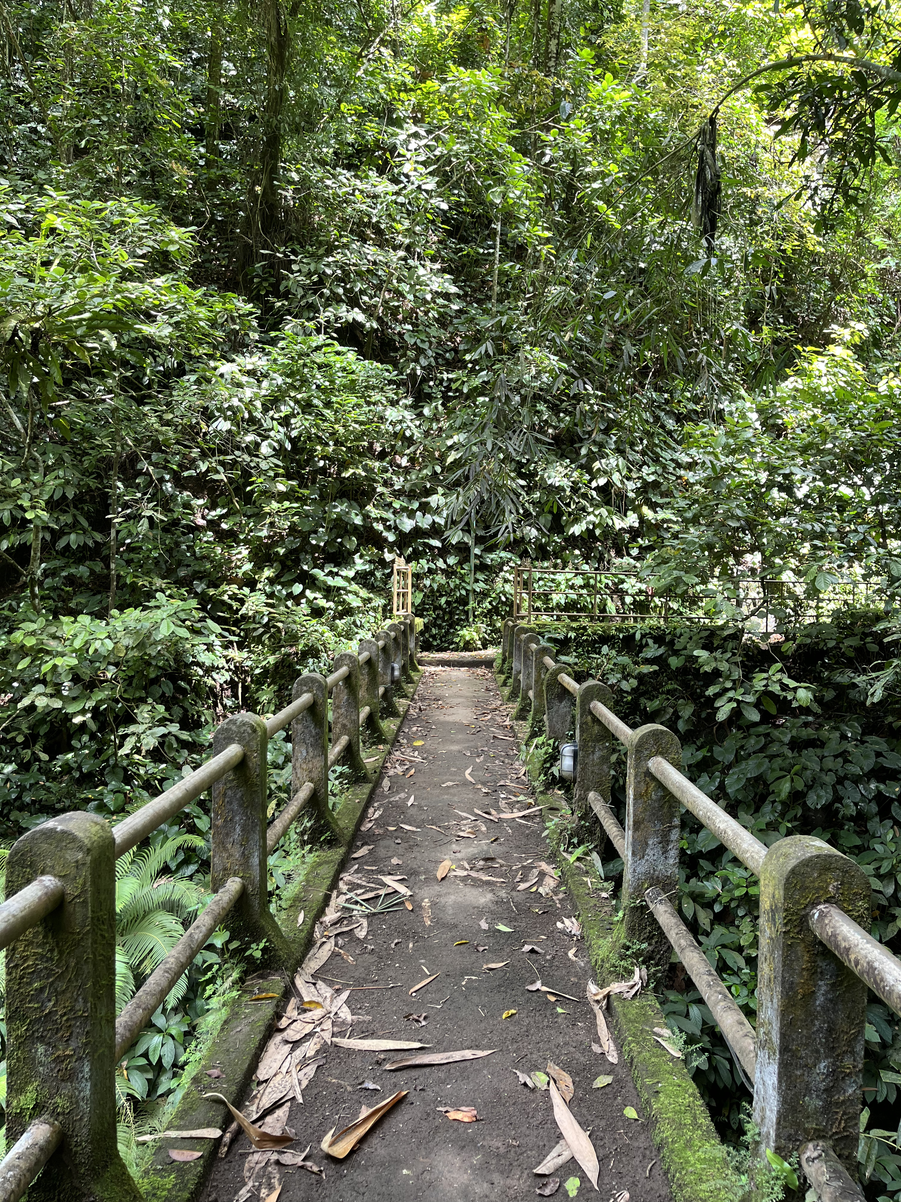 Pura Tirta Harum
